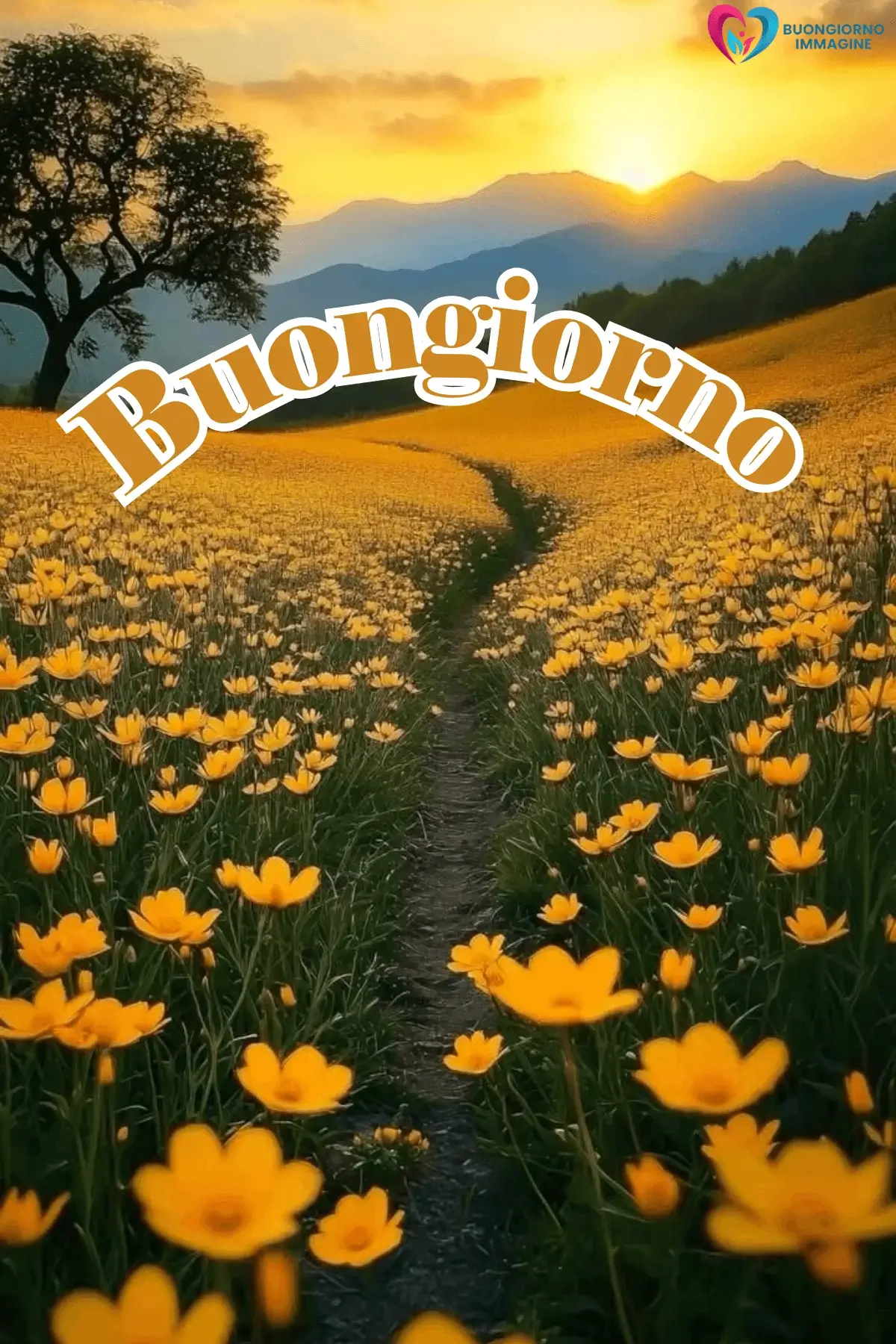 immagini buongiorno inedite gratis