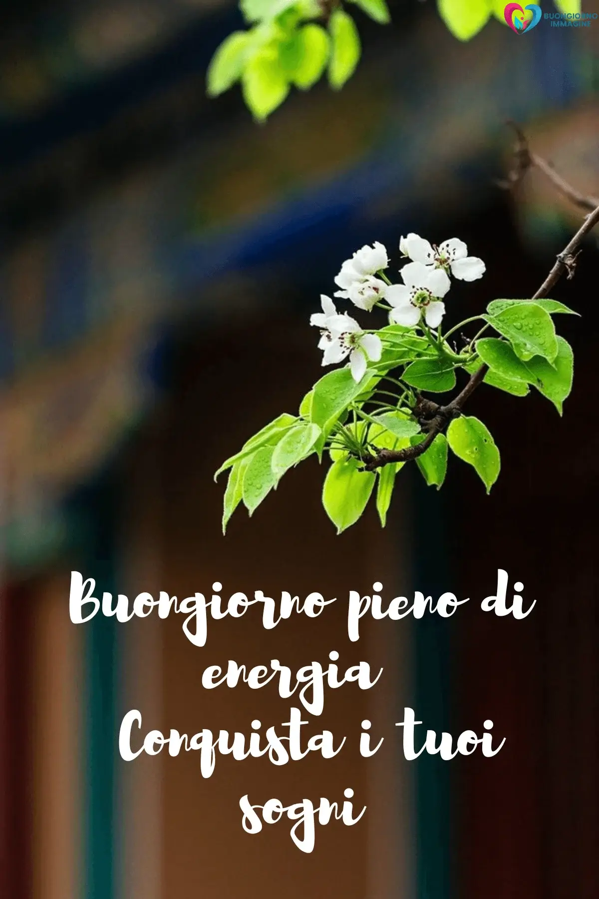 Ramo fiorito con fiori bianchi e foglie verdi, buongiorno frasi nuove, immagini gratis per WhatsApp