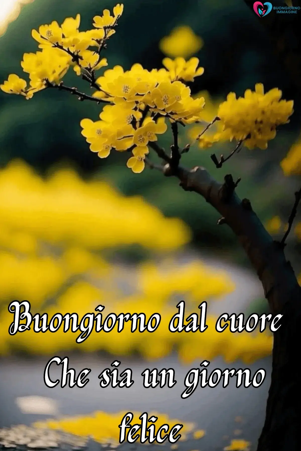 Rami fioriti gialli su sfondo verde, frasi del buongiorno bellissime, immagini gratis per WhatsApp