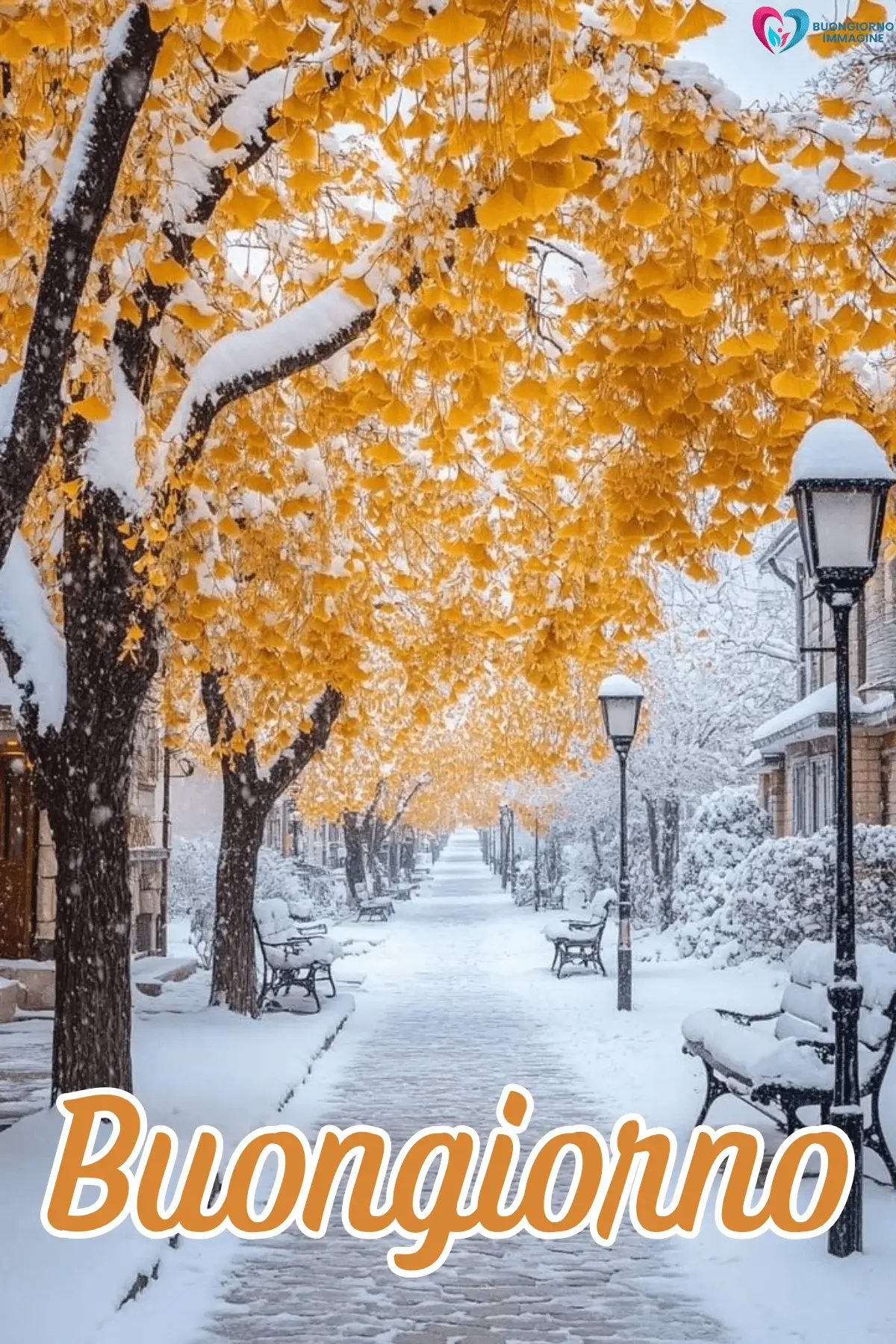 Viale innevato con alberi di ginkgo dorati e panchine bianche, buongiorno invernale immagini gratis per WhatsApp