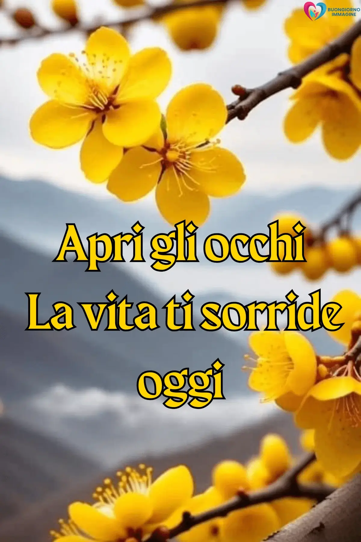 Rami con fiori gialli primaverili e frase motivazionale, buongiorno frasi positive, immagini gratis per WhatsApp
