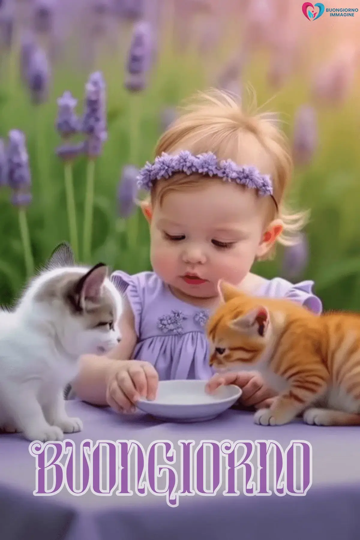 Bambina con gattini e lavanda, buongiorno bambini, immagini gratis per WhatsApp