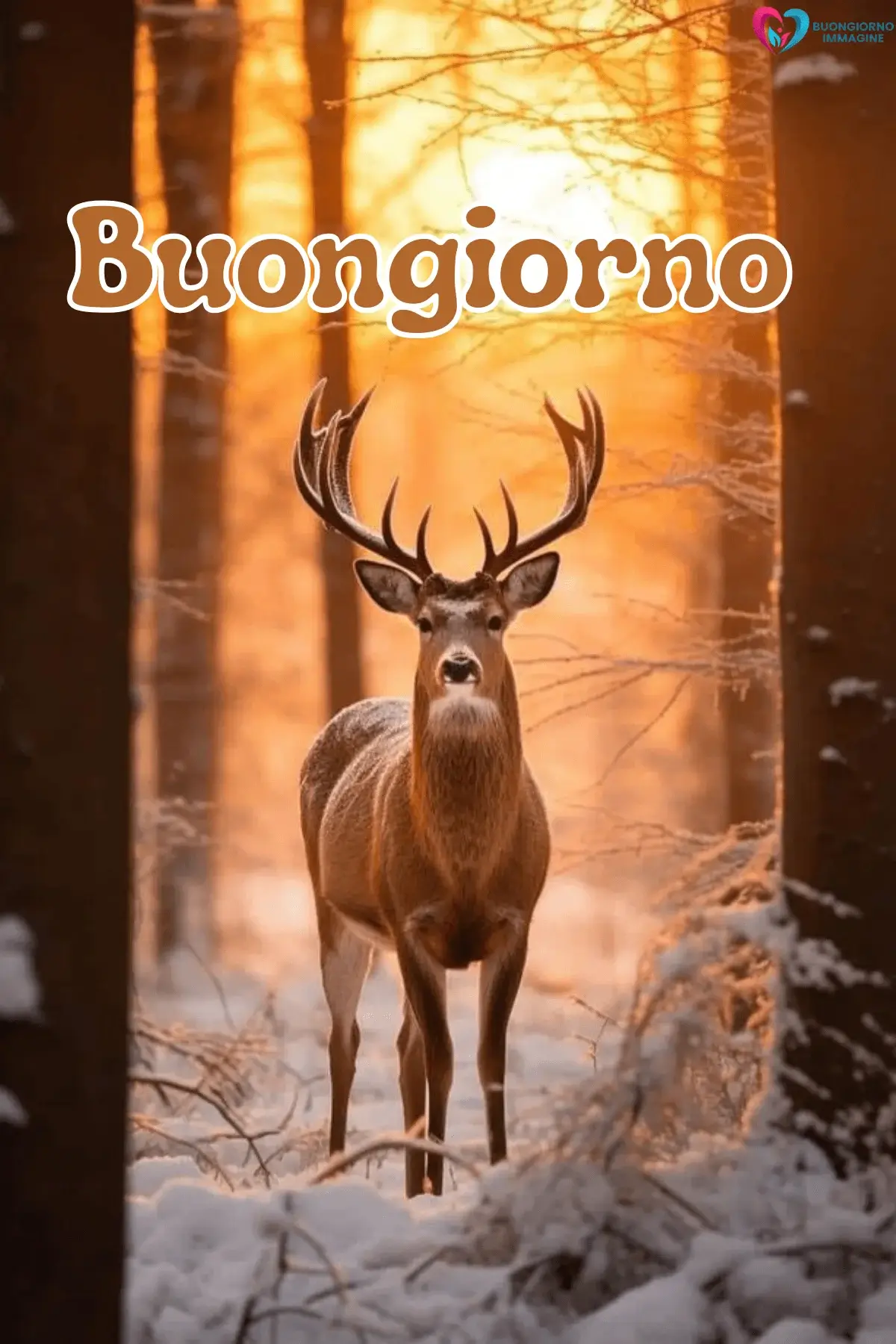 Cervo maestoso nella foresta innevata all'alba, buongiorno invernale immagini gratis per WhatsApp