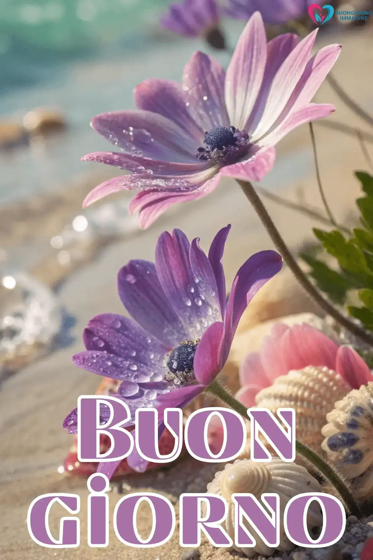 immagine buongiorno pietra bianca 11 (nuova) — buongiornoimmagine.it