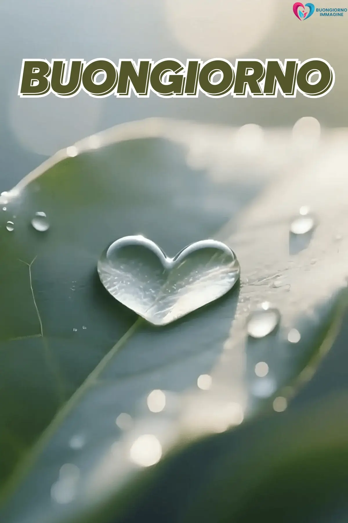 Goccia d'acqua a forma di cuore su foglia verde con rugiada, buongiorno cuore immagini gratis per WhatsApp