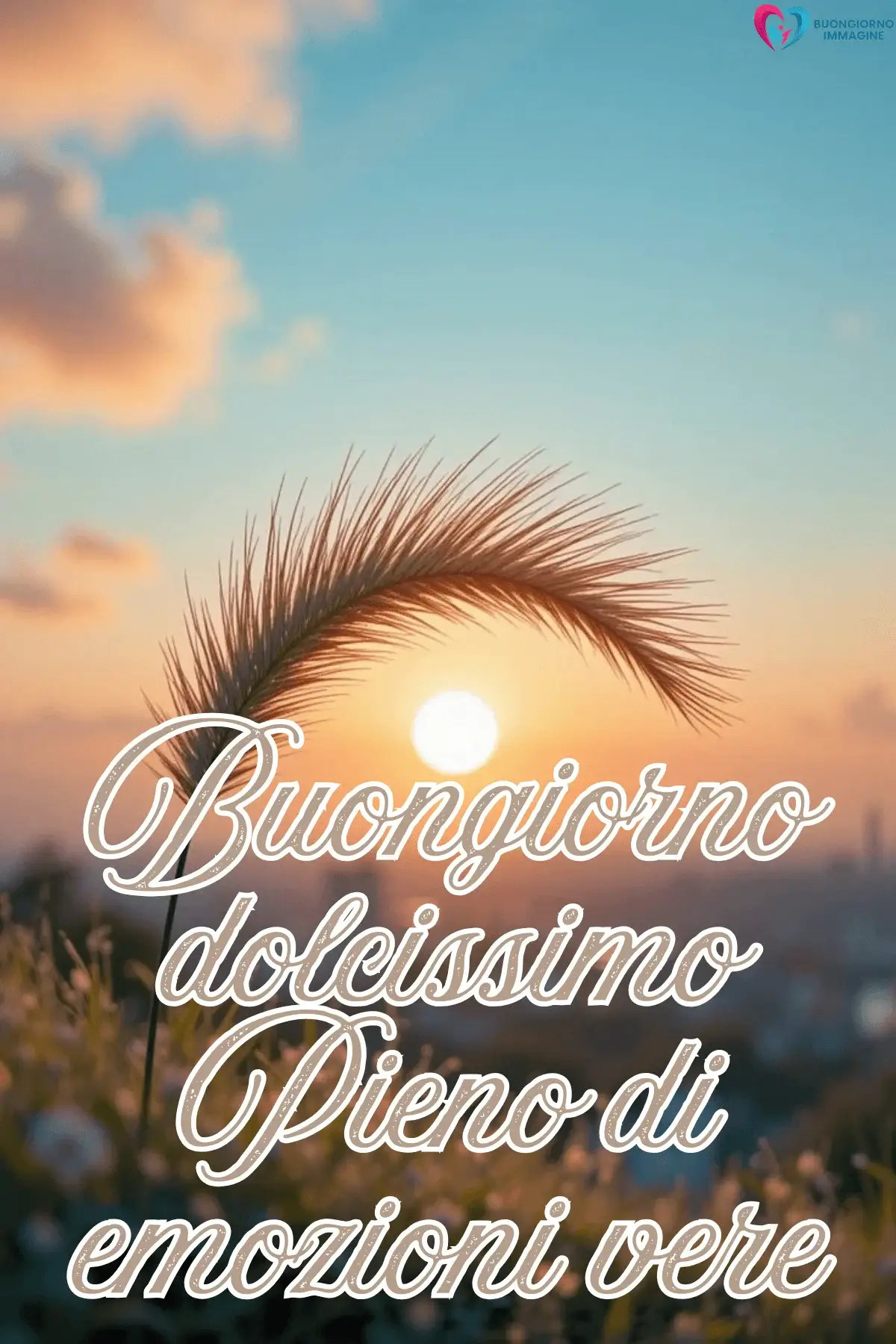 Spiga dorata al tramonto con sole basso e cielo pastello, buongiorno frasi positive immagini gratis per WhatsApp