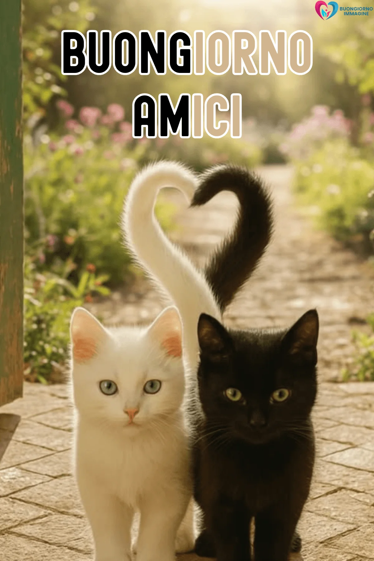 Due gattini bianco e nero con code a cuore, buongiorno amici immagini gratis per WhatsApp