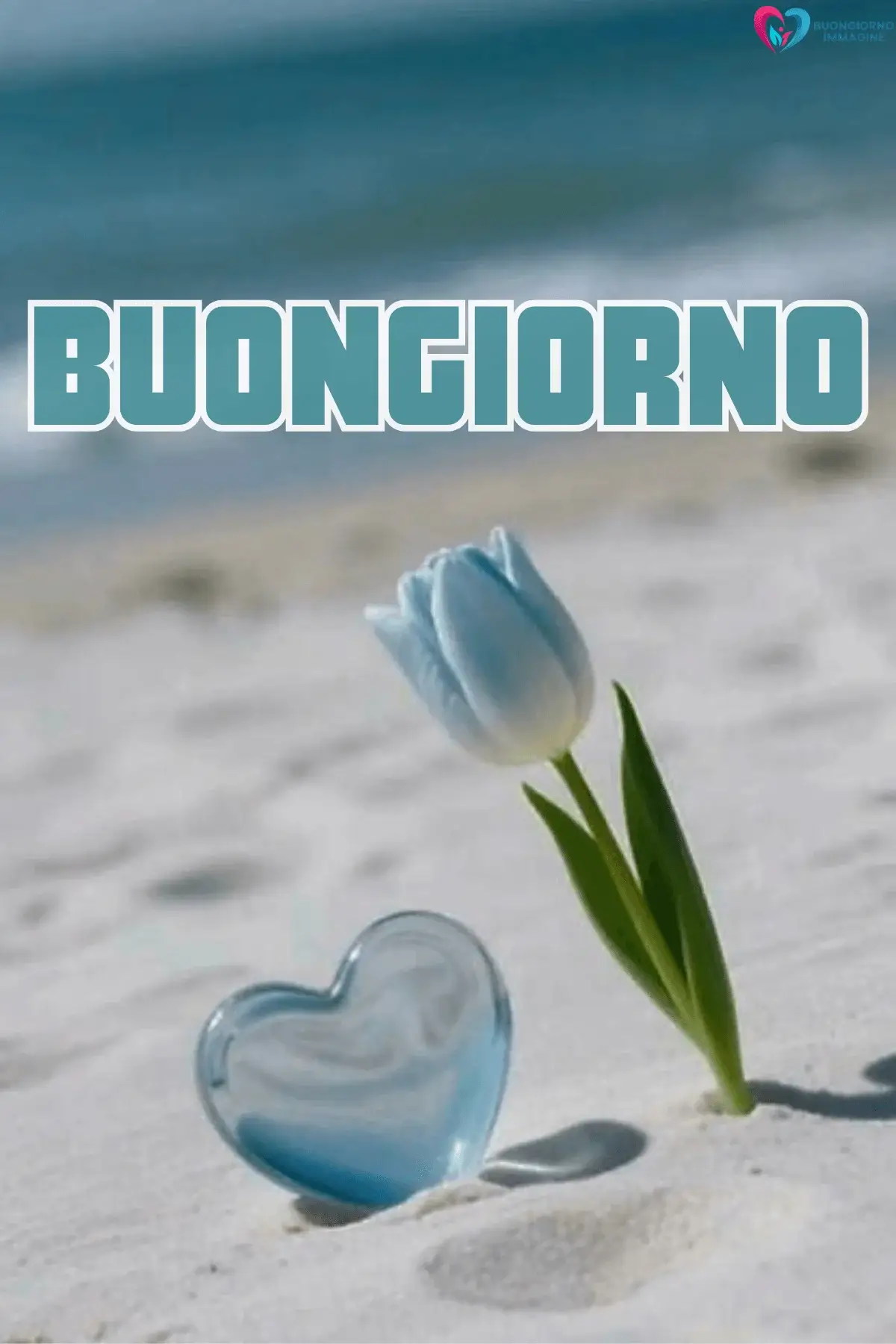 Tulipano azzurro e cuore di vetro sulla spiaggia, buongiorno cuore, immagini gratis per WhatsApp