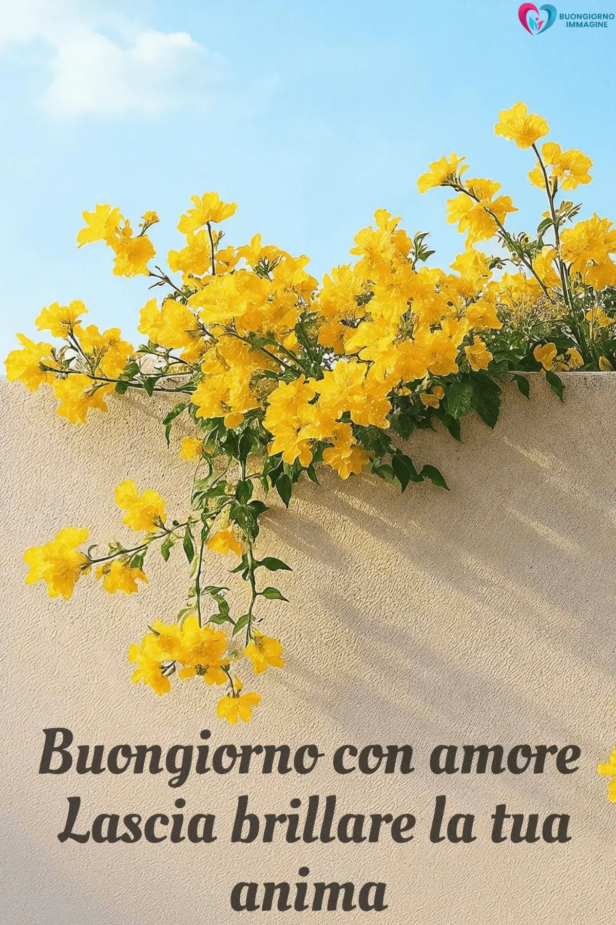 Fiori gialli su muro bianco con cielo azzurro, buongiorno frasi positive, immagini gratis per WhatsApp