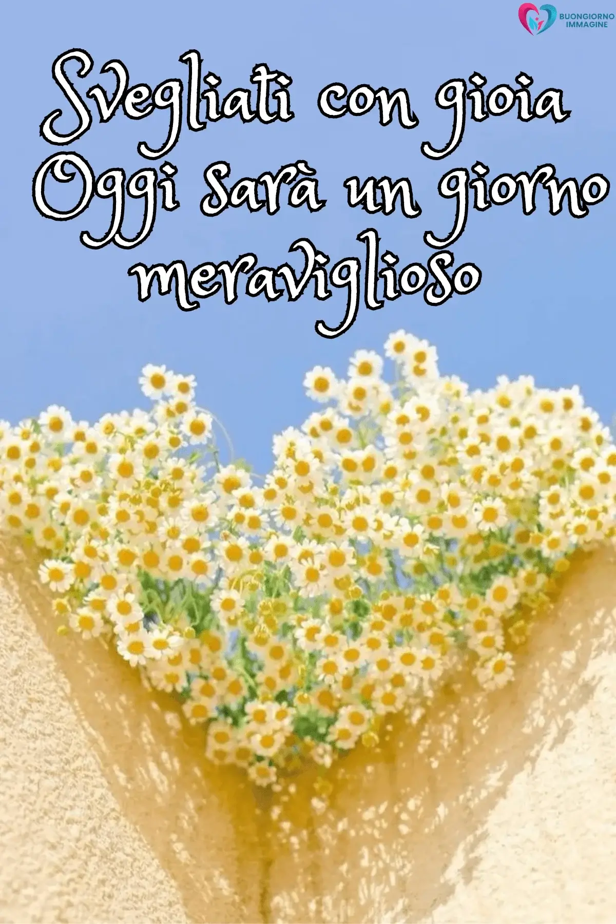 Mani che tengono margherite a forma di cuore su sfondo azzurro, buongiorno frasi positive, immagini gratis per WhatsApp