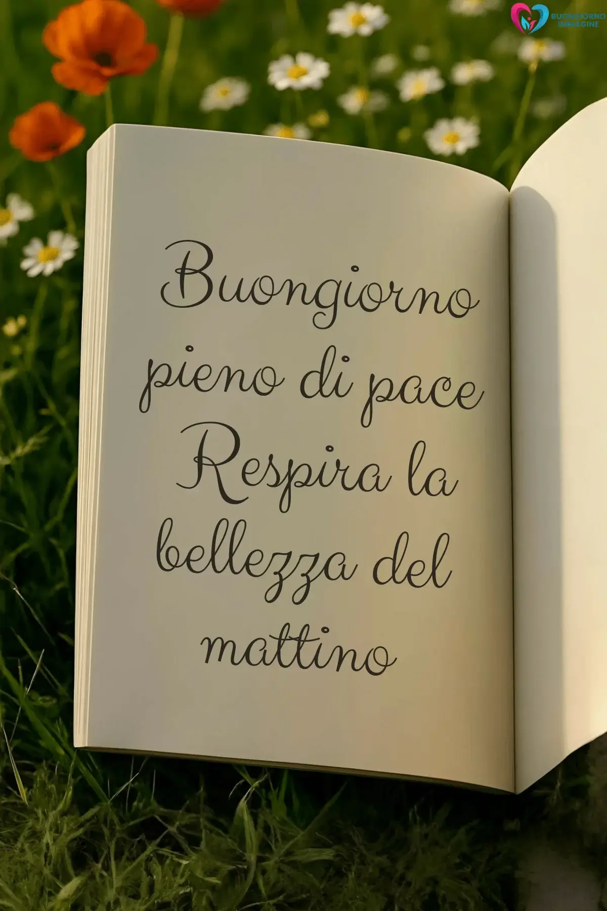 Libro aperto su prato fiorito con papaveri e margherite, frasi del buongiorno bellissime, immagini gratis per WhatsApp