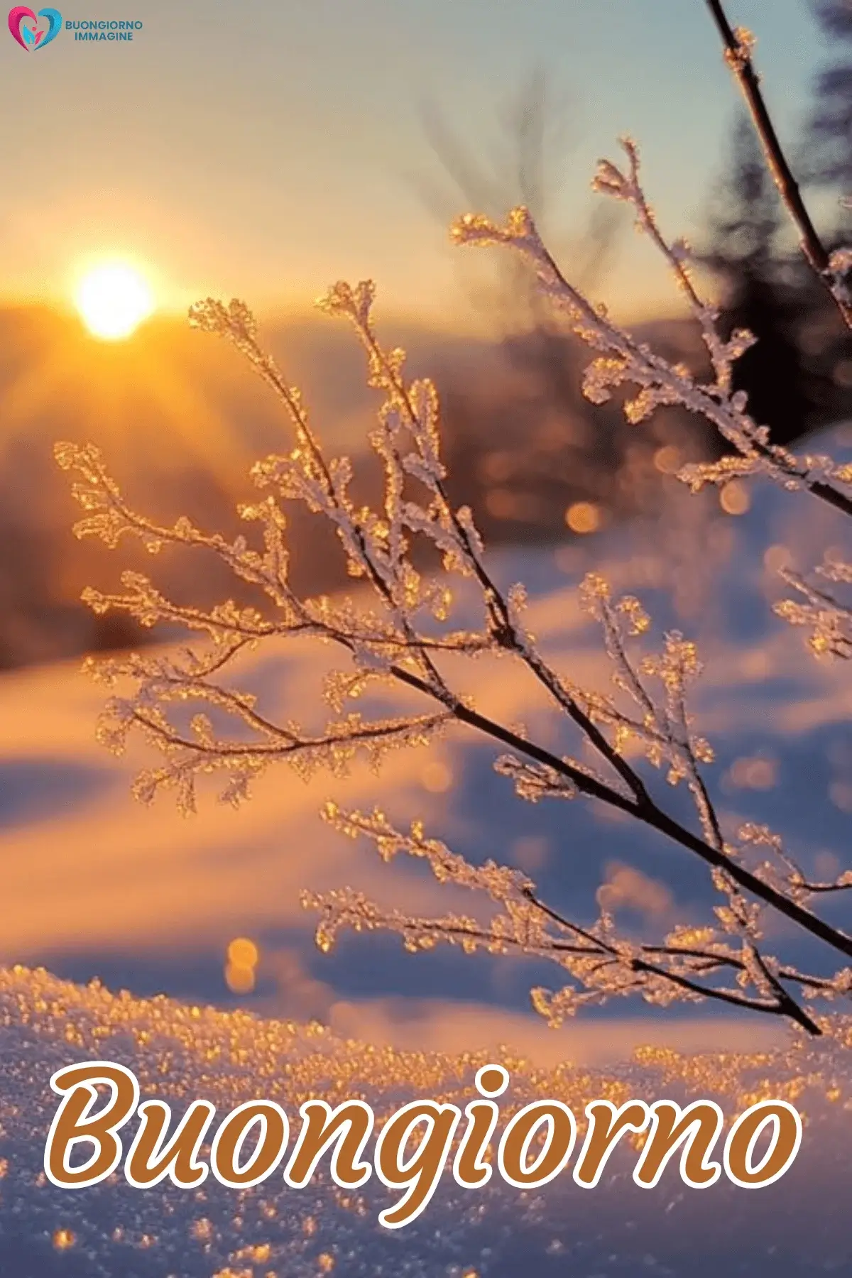 Rami ghiacciati al tramonto invernale, buongiorno invernale immagini gratis per WhatsApp
