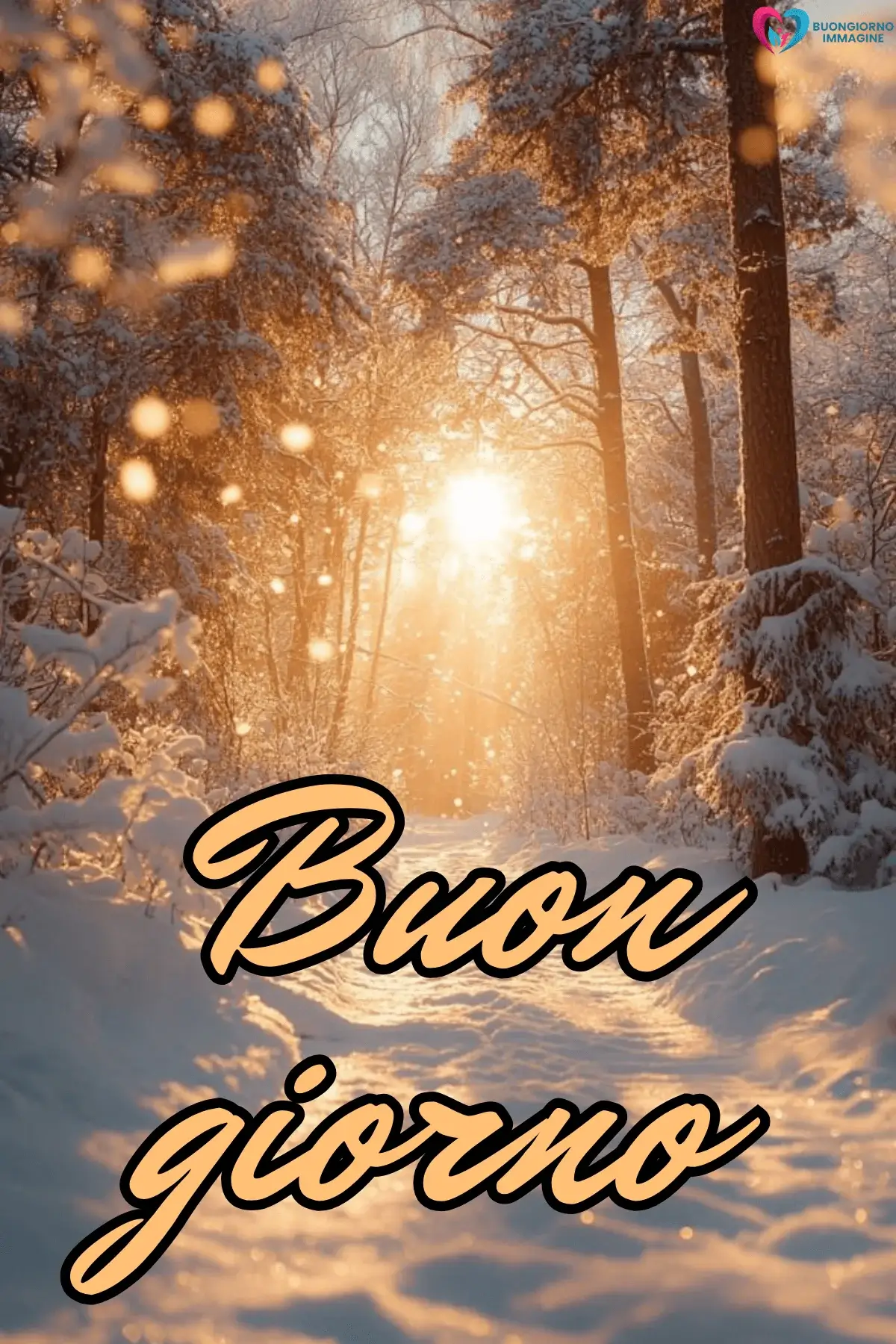 Sentiero innevato nel bosco al sole, buongiorno invernale, immagini gratis per WhatsApp