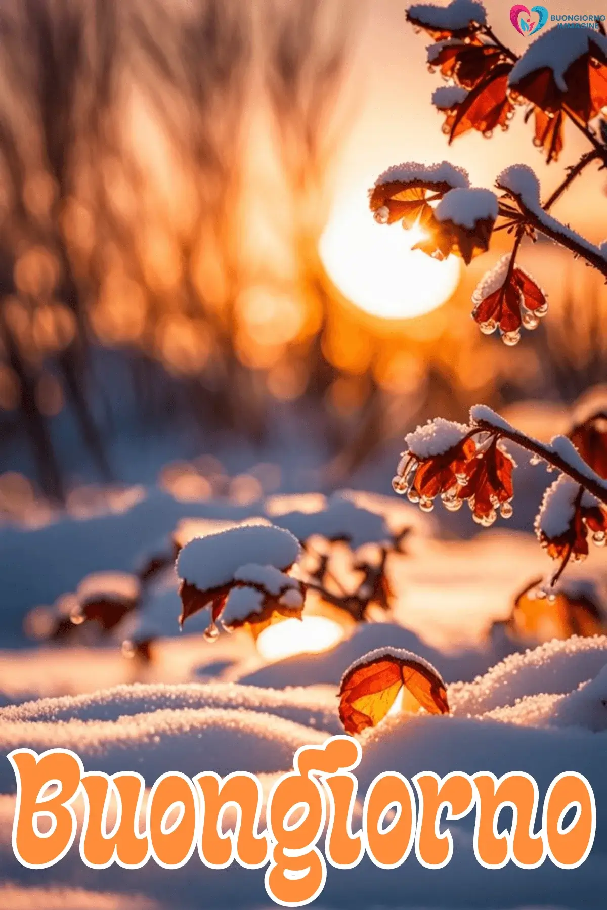 Rami innevati con foglie rosse e sole invernale – buongiorno invernale immagini gratis per WhatsApp