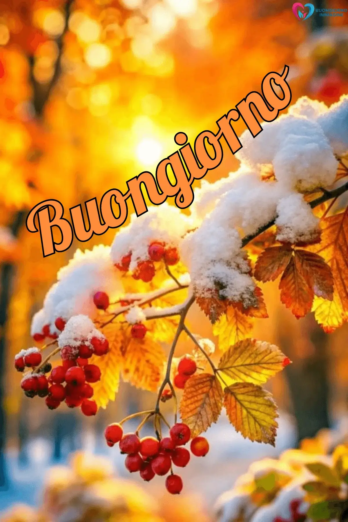 Ramo con bacche rosse coperto di neve e foglie autunnali dorate, buongiorno invernale immagini gratis per WhatsApp