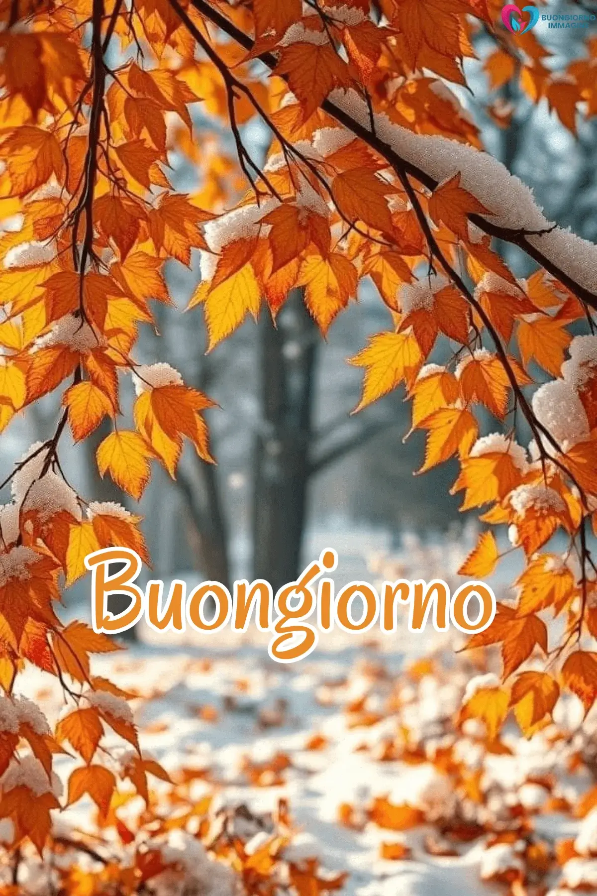Rami con foglie arancioni autunnali e neve, buongiorno invernale immagini gratis per WhatsApp
