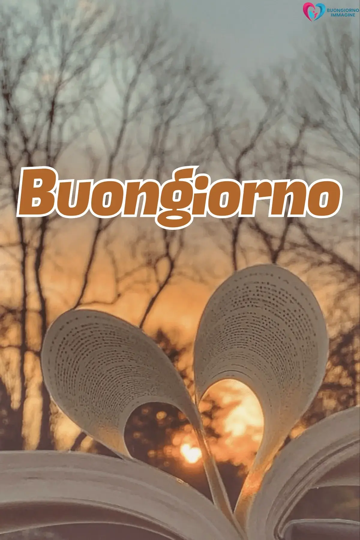 Pagine di libro piegate a cuore con tramonto e alberi spogli, buongiorno cuore immagini gratis per WhatsApp