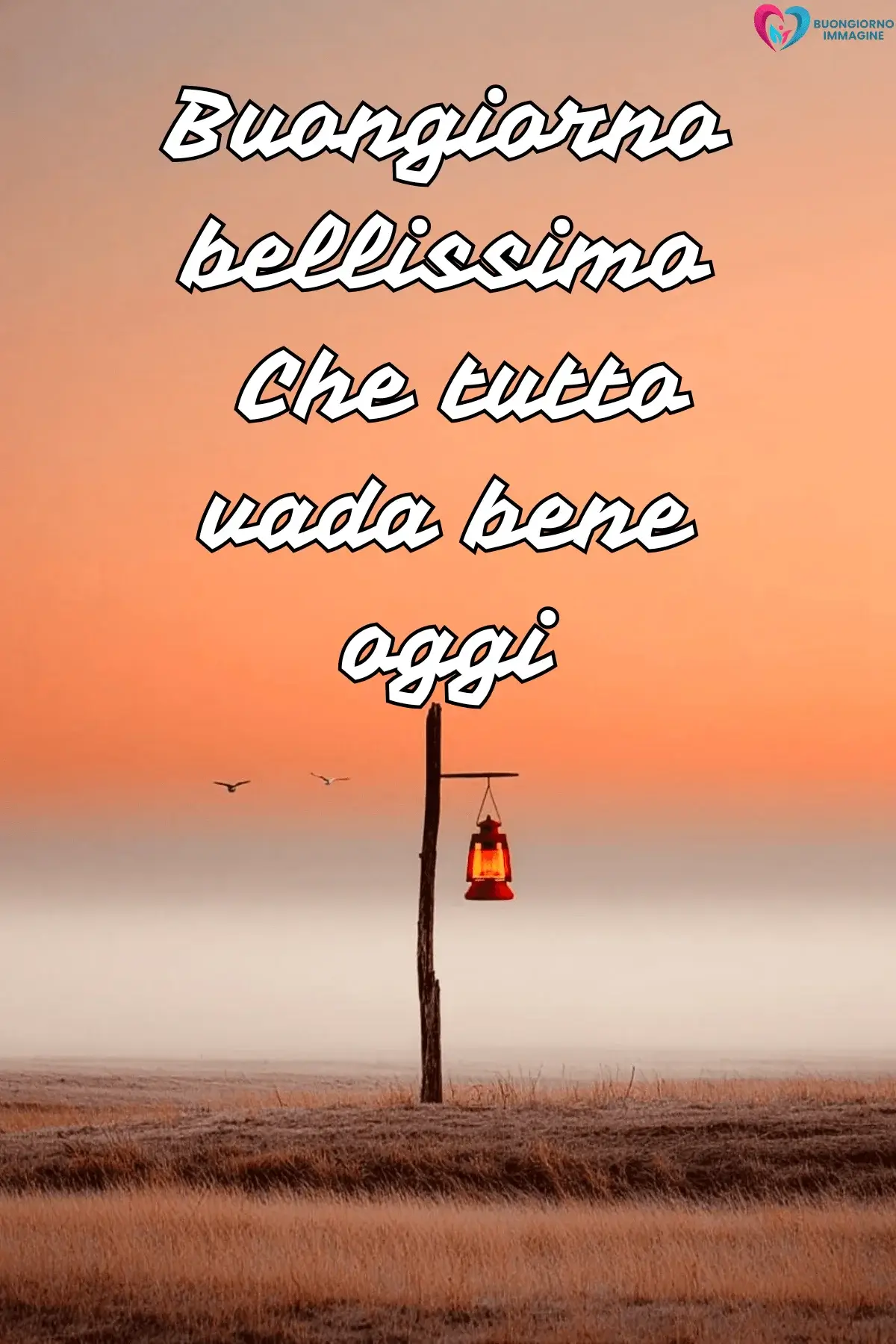 Palo con lanterna rossa al tramonto nebbioso, uccelli in volo – frasi del buongiorno bellissime – immagini gratis per WhatsApp