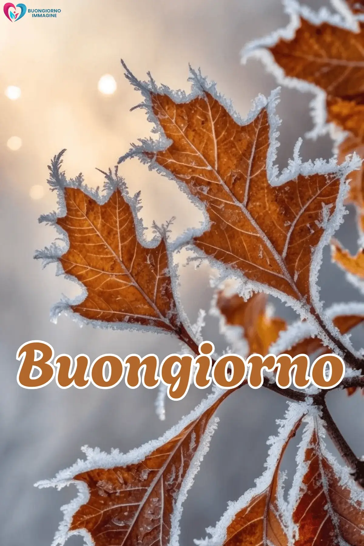 Foglie autunnali con brina cristallizzata sui bordi, buongiorno invernale immagini gratis per WhatsApp