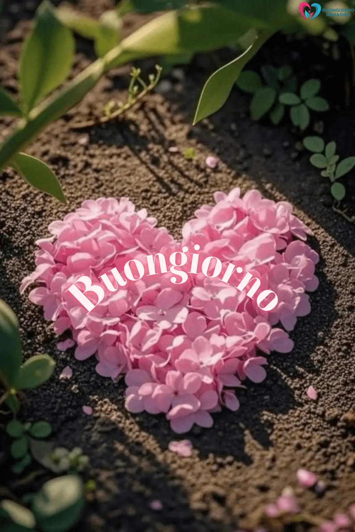Cuore di fiori rosa su terra con foglie verdi, buongiorno cuore, immagini gratis per WhatsApp