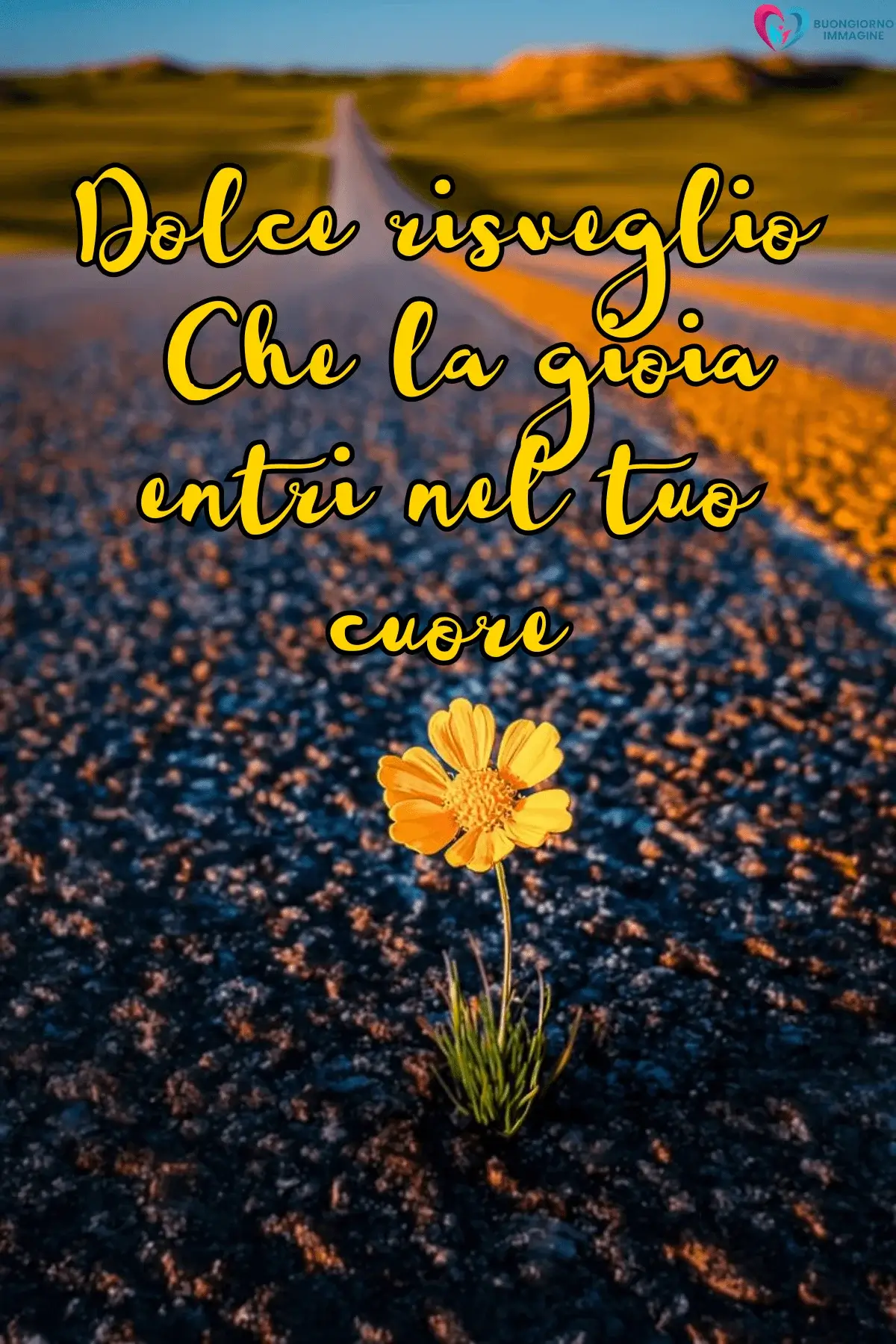 Fiore giallo che cresce sull'asfalto, strada all'alba, frasi del buongiorno bellissime immagini gratis per WhatsApp