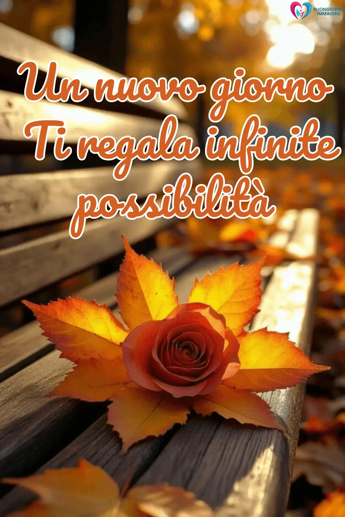 Rosa arancione su panchina autunnale con foglie, buongiorno frasi positive, immagini gratis per WhatsApp