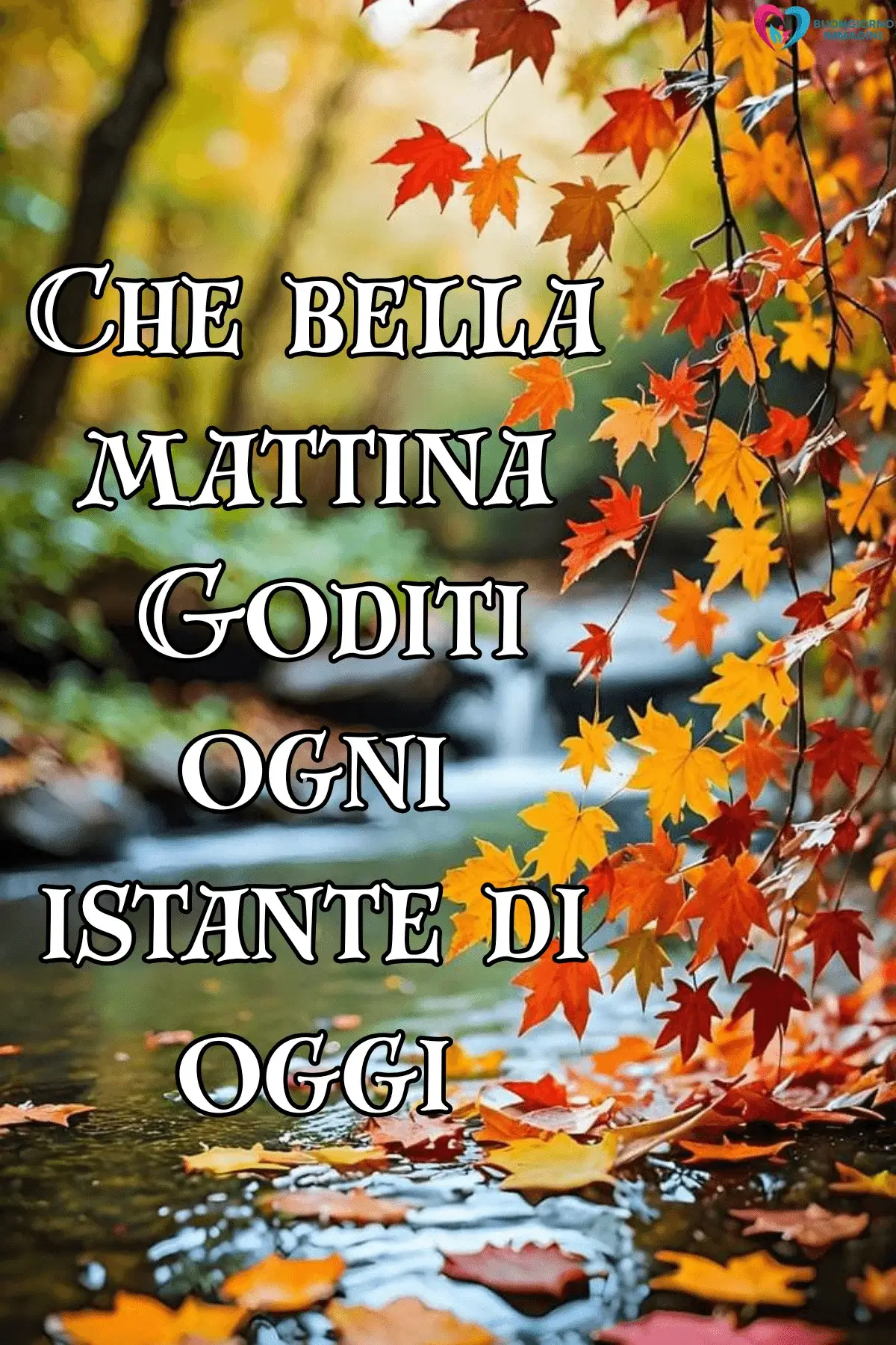 Ruscello autunnale con foglie rosse e arancioni, buongiorno frasi positive, immagini gratis per WhatsApp