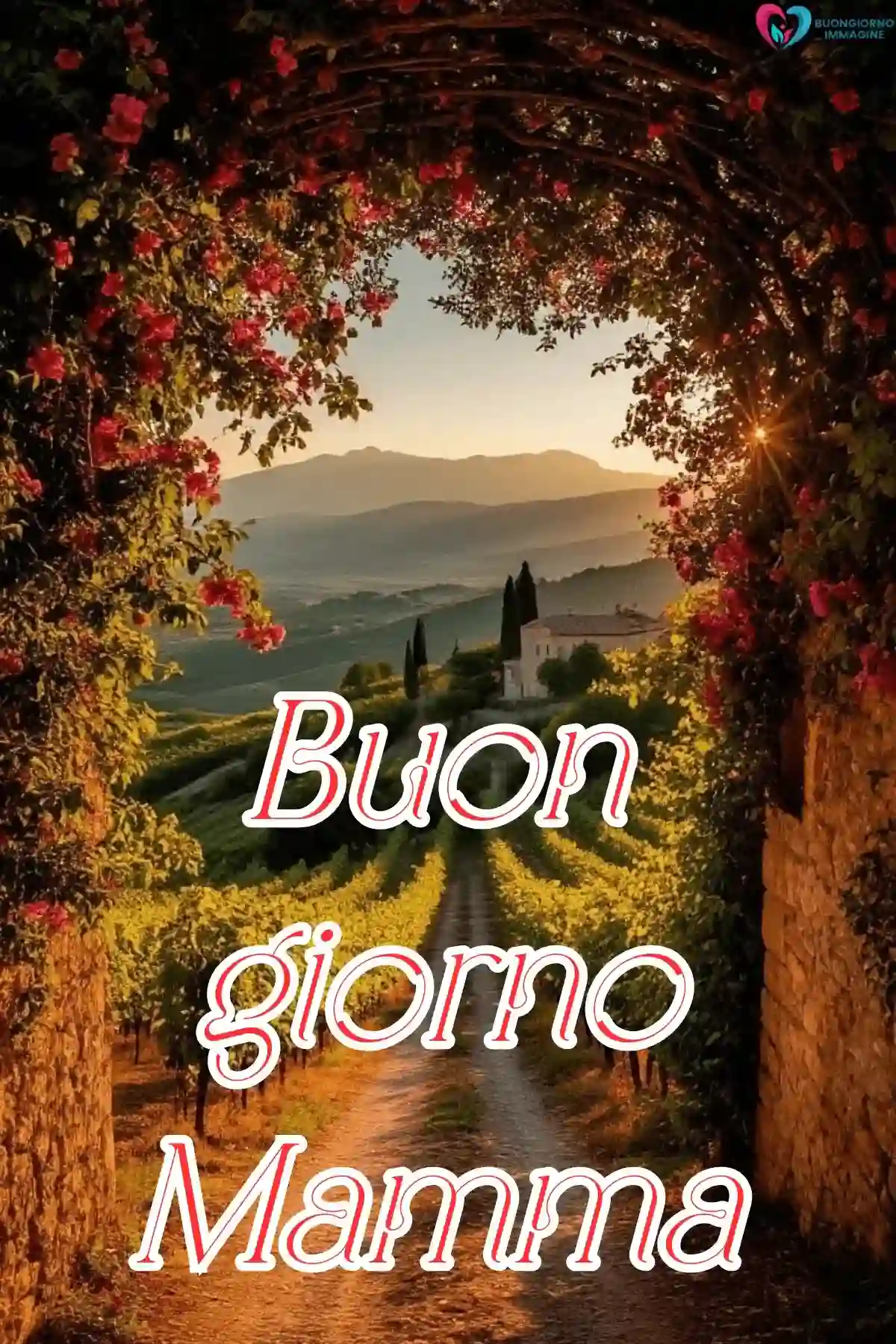 immagine mattina mamma whatsapp 39