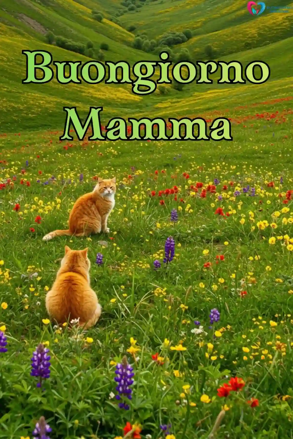 foto buongiorno mamma dolce 3