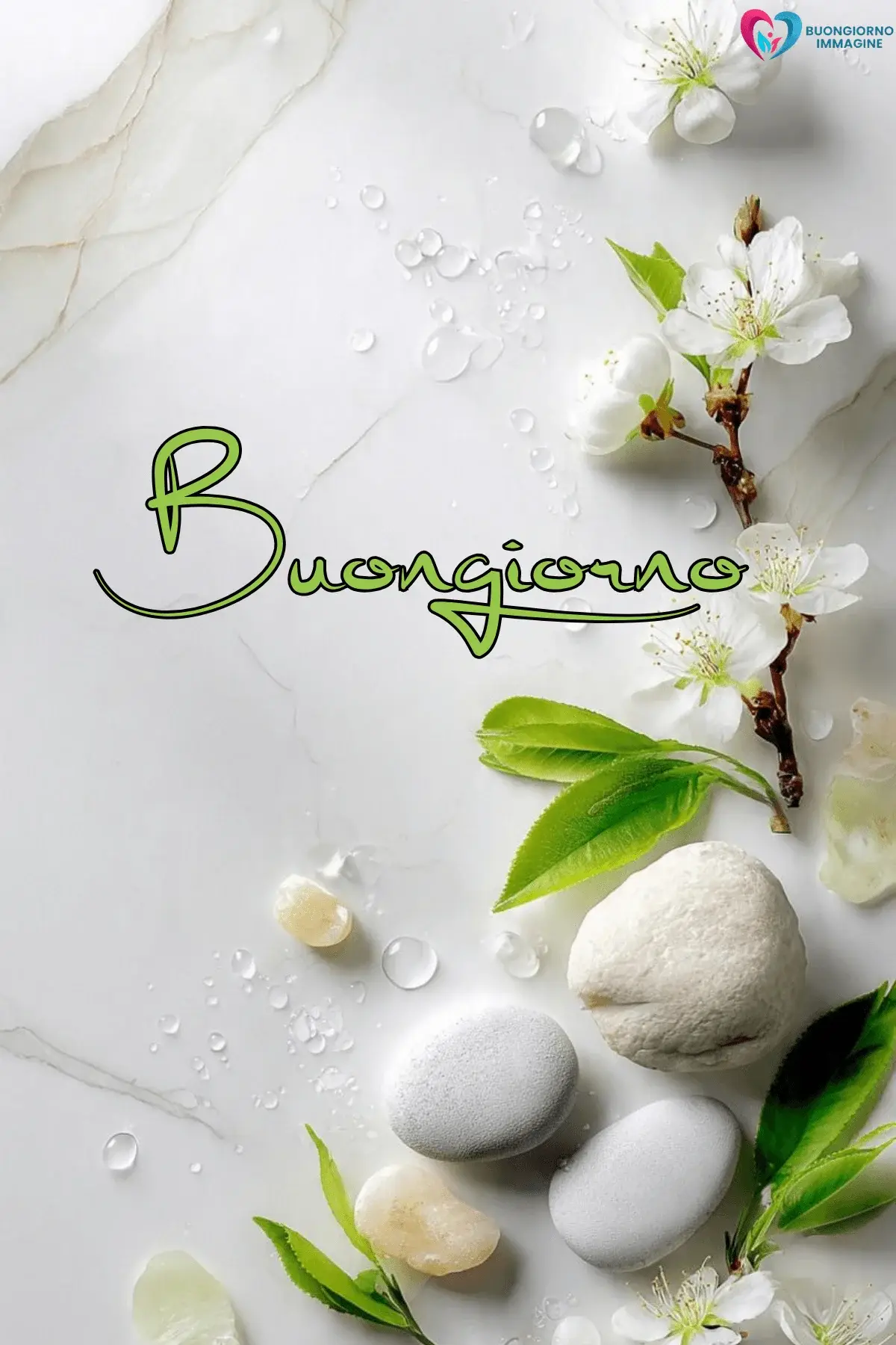 buongiorno pietra bianca bellissima 31