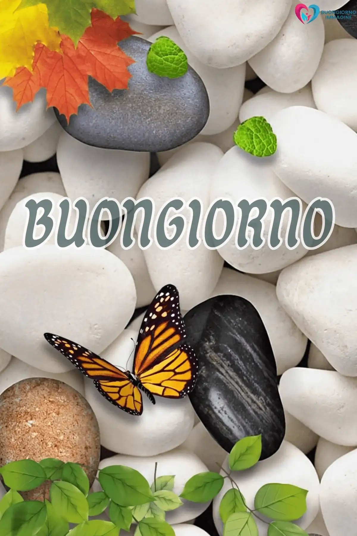 buongiornoimmagine.it — immagini buongiorno pietra bianca gratis per WhatsApp