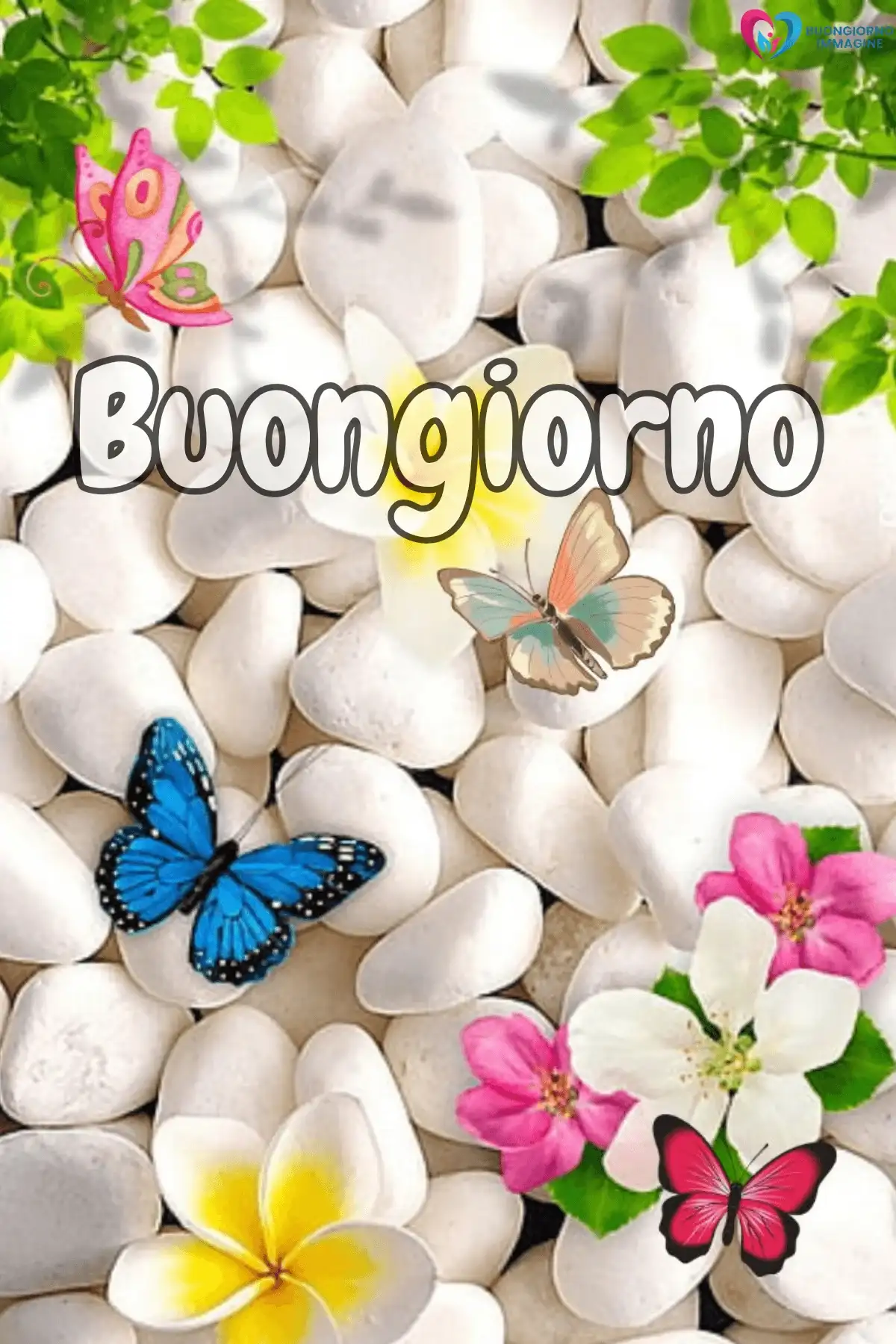 foto buongiorno pietra bianca originale 33