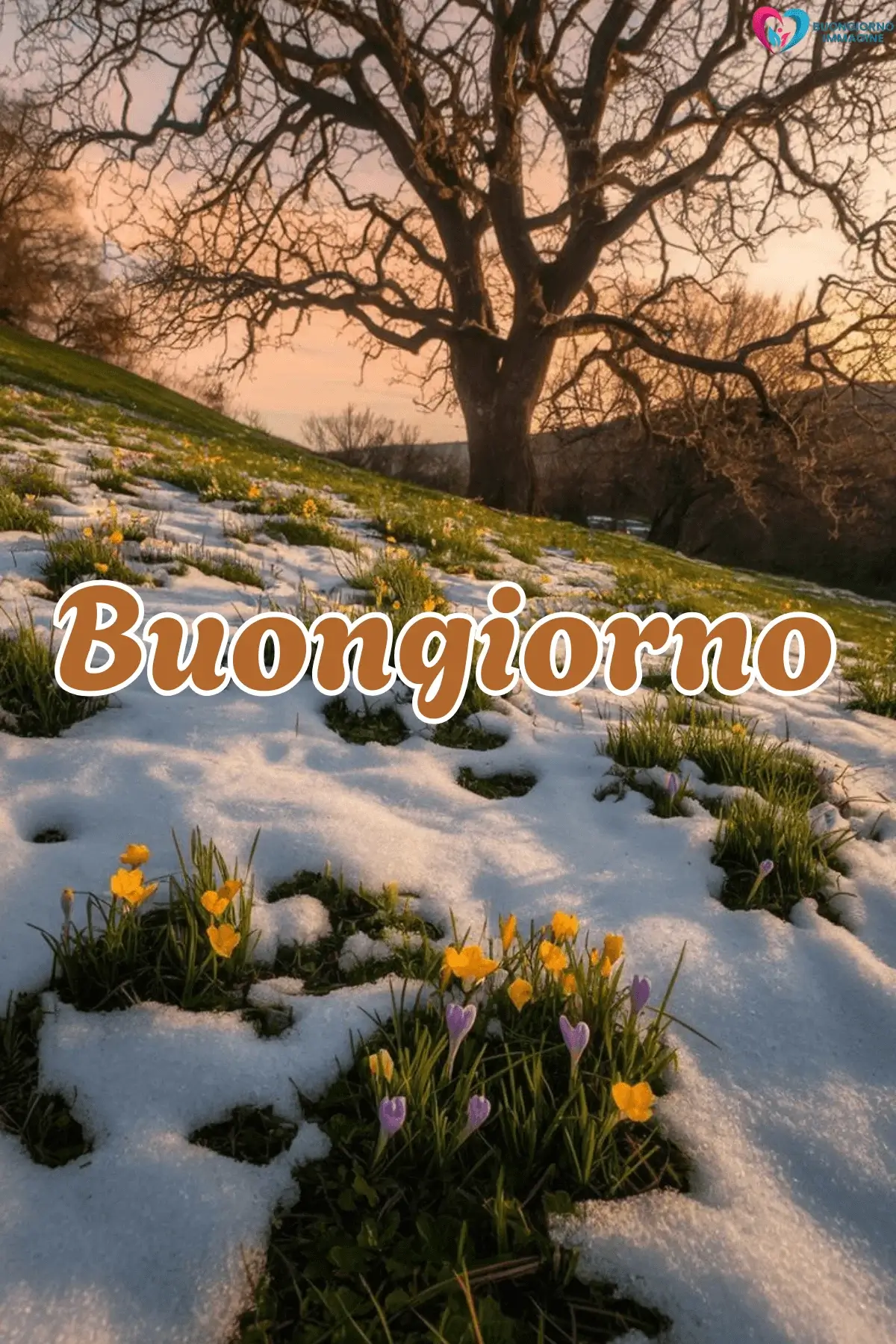 buongiorno invernale immagini neve