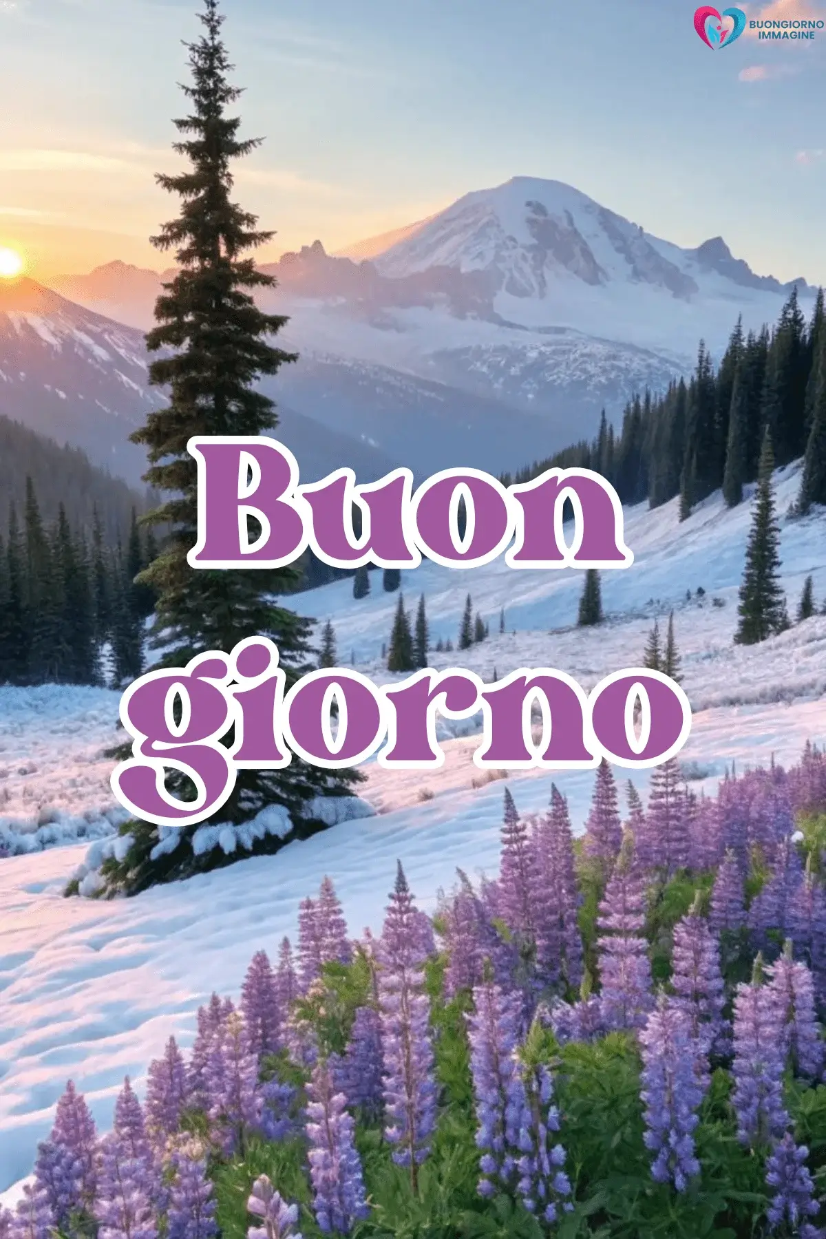 Paesaggio invernale con lupini viola, montagna innevata e alba – buongiorno invernale immagini gratis per WhatsApp