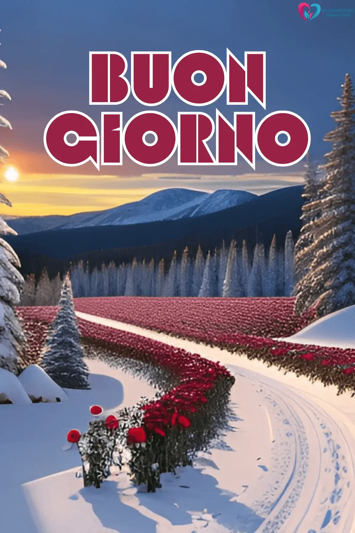 Paesaggio invernale con rose rosse neve e montagne, buongiorno invernale immagini nuove gratis per WhatsApp