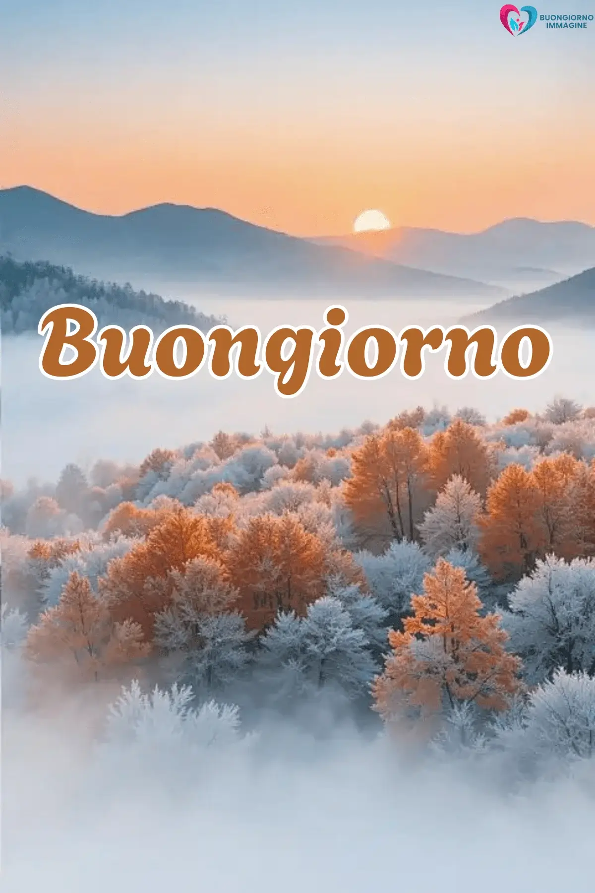 Foresta invernale al tramonto con alberi arancioni nella nebbia, buongiorno invernale immagini gratis per WhatsApp