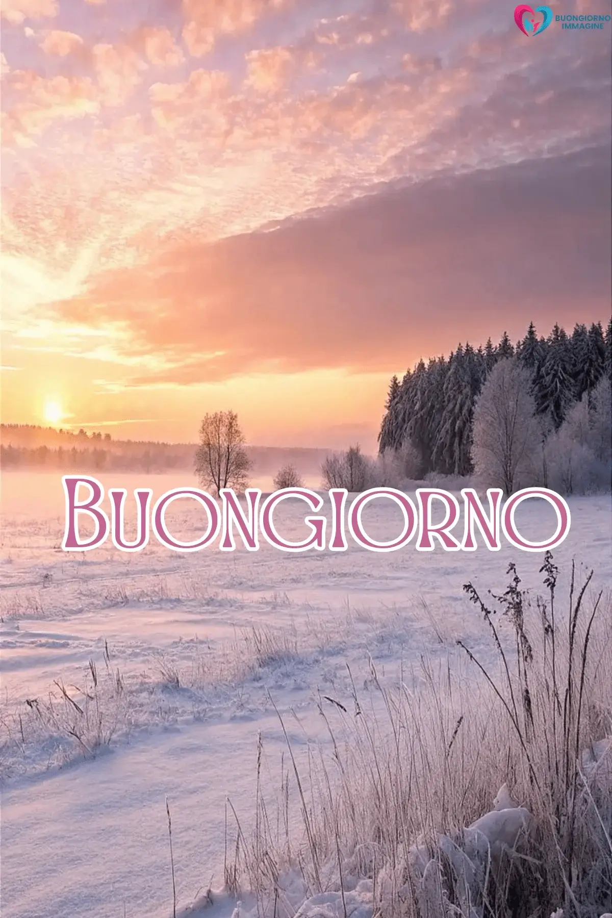 Alba invernale su paesaggio innevato con alberi bianchi, buongiorno invernale immagini gratis per WhatsApp