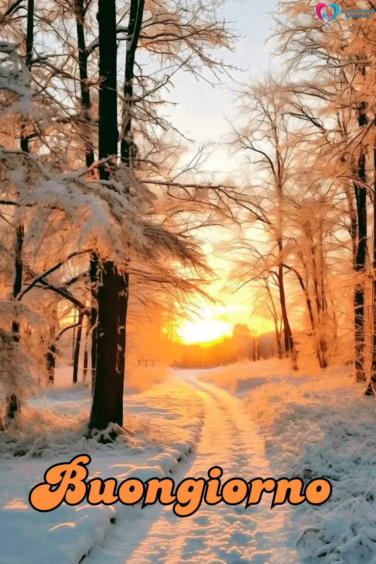 Sentiero innevato al tramonto dorato tra alberi bianchi, buongiorno invernale immagini gratis per WhatsApp