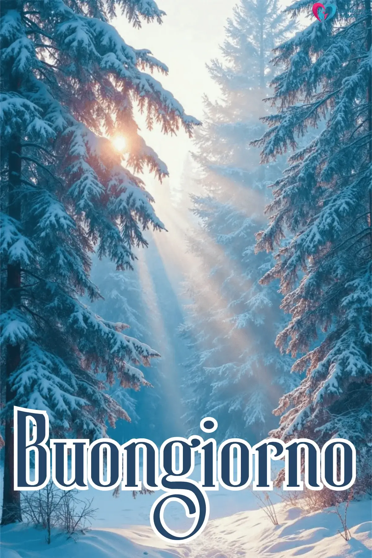 Foresta innevata con raggi di sole tra abeti carichi di neve, buongiorno invernale immagini gratis per WhatsApp