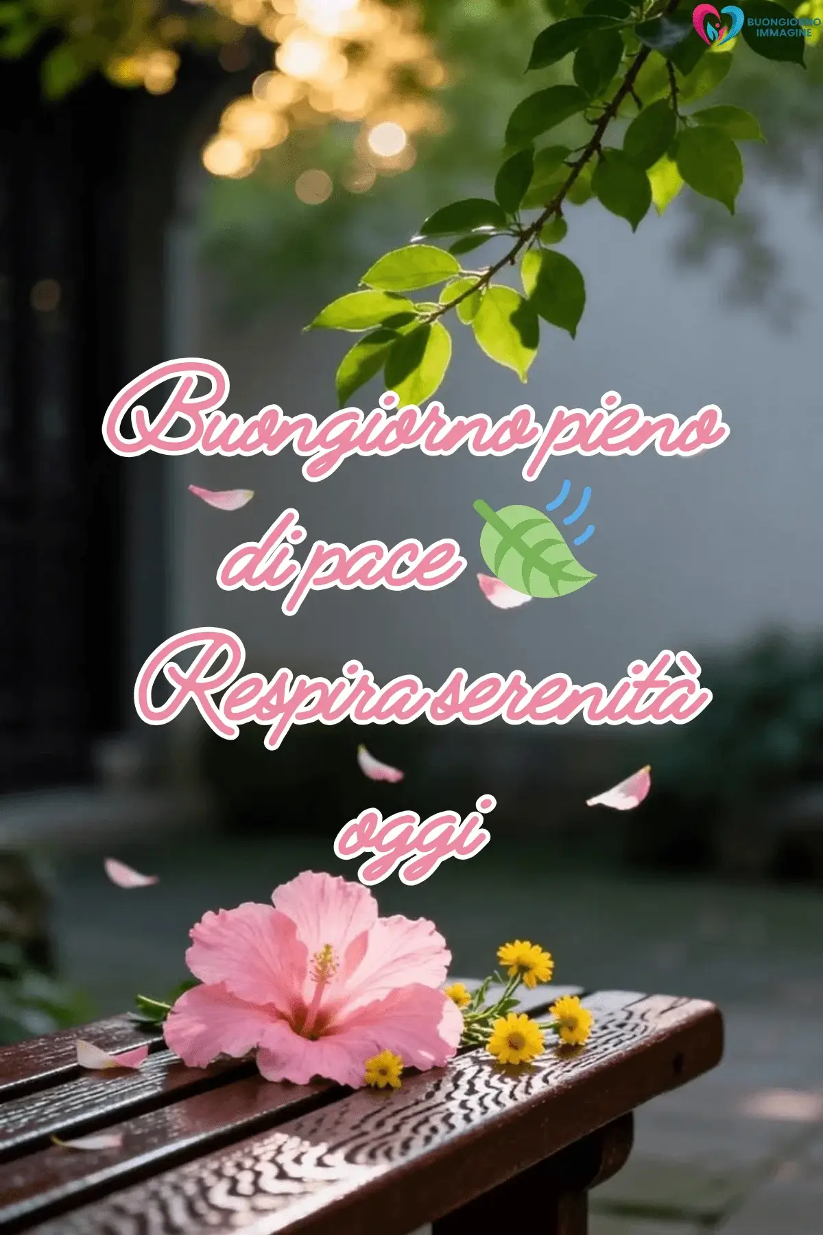 Panchina con fiore rosa e petali al vento, buongiorno frasi positive, immagini gratis per WhatsApp