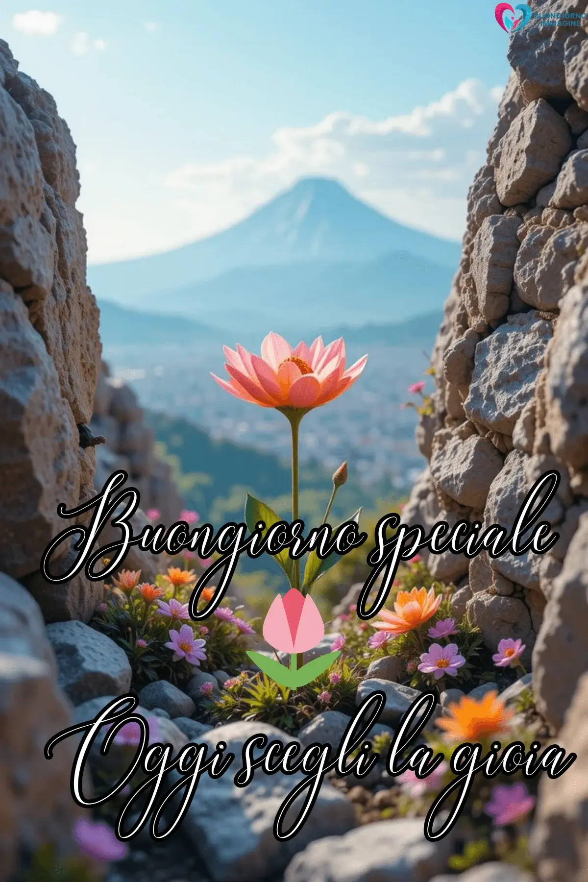 Fiore rosa tra rocce antiche con montagna sullo sfondo, buongiorno frasi positive, immagini gratis per WhatsApp