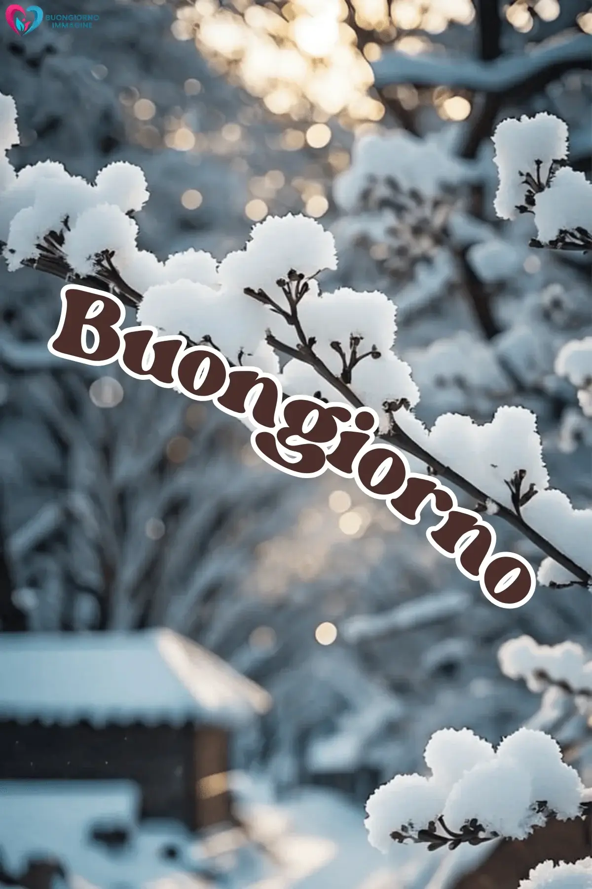 Rami innevati con neve soffice e bokeh dorato, buongiorno invernale immagini gratis per WhatsApp