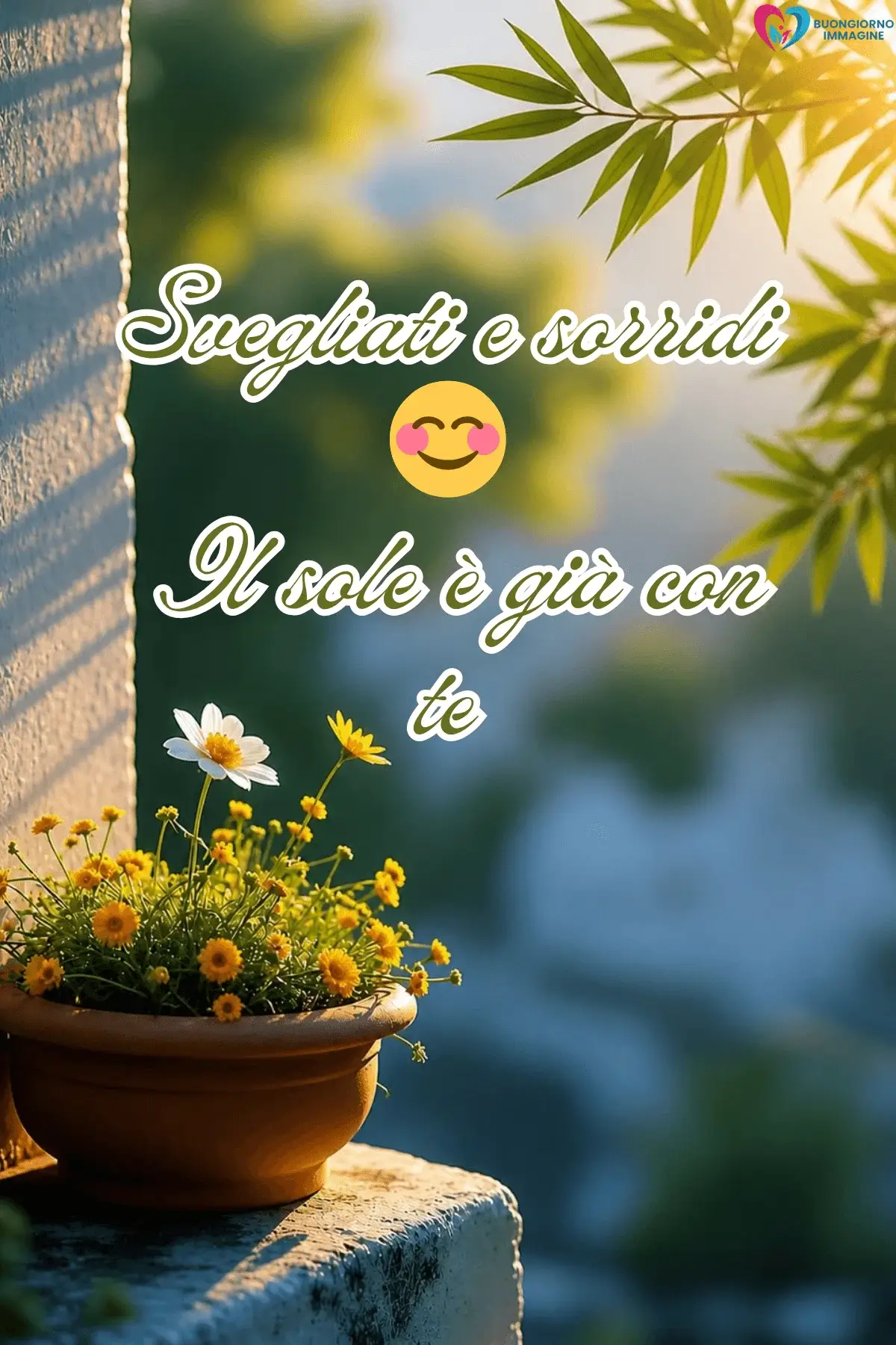 Vaso di margherite gialle al sole con frase buongiorno motivazionale, immagini gratis per WhatsApp