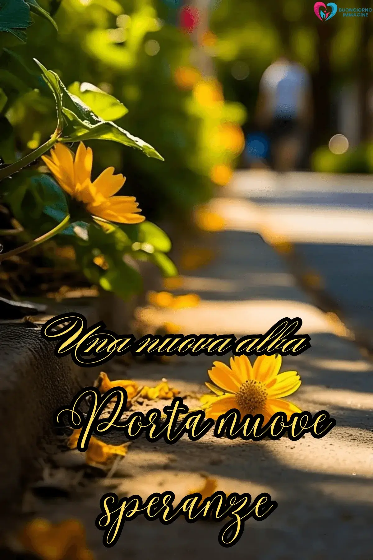 Fiori gialli su sentiero soleggiato, buongiorno frasi nuove, immagini gratis per WhatsApp