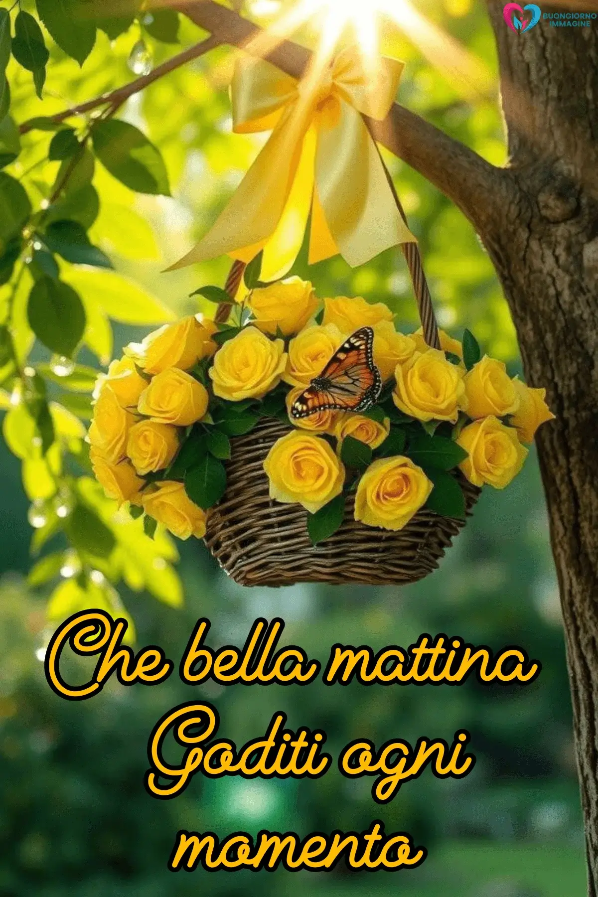 Cesto di rose gialle con farfalla appeso a un albero al sole, buongiorno frasi nuove, immagini gratis per WhatsApp