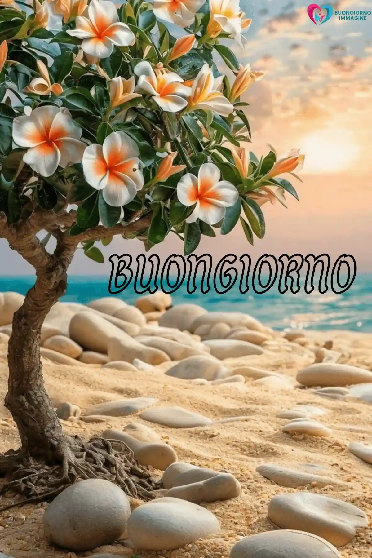 buongiorno pietra bianca divertente 11