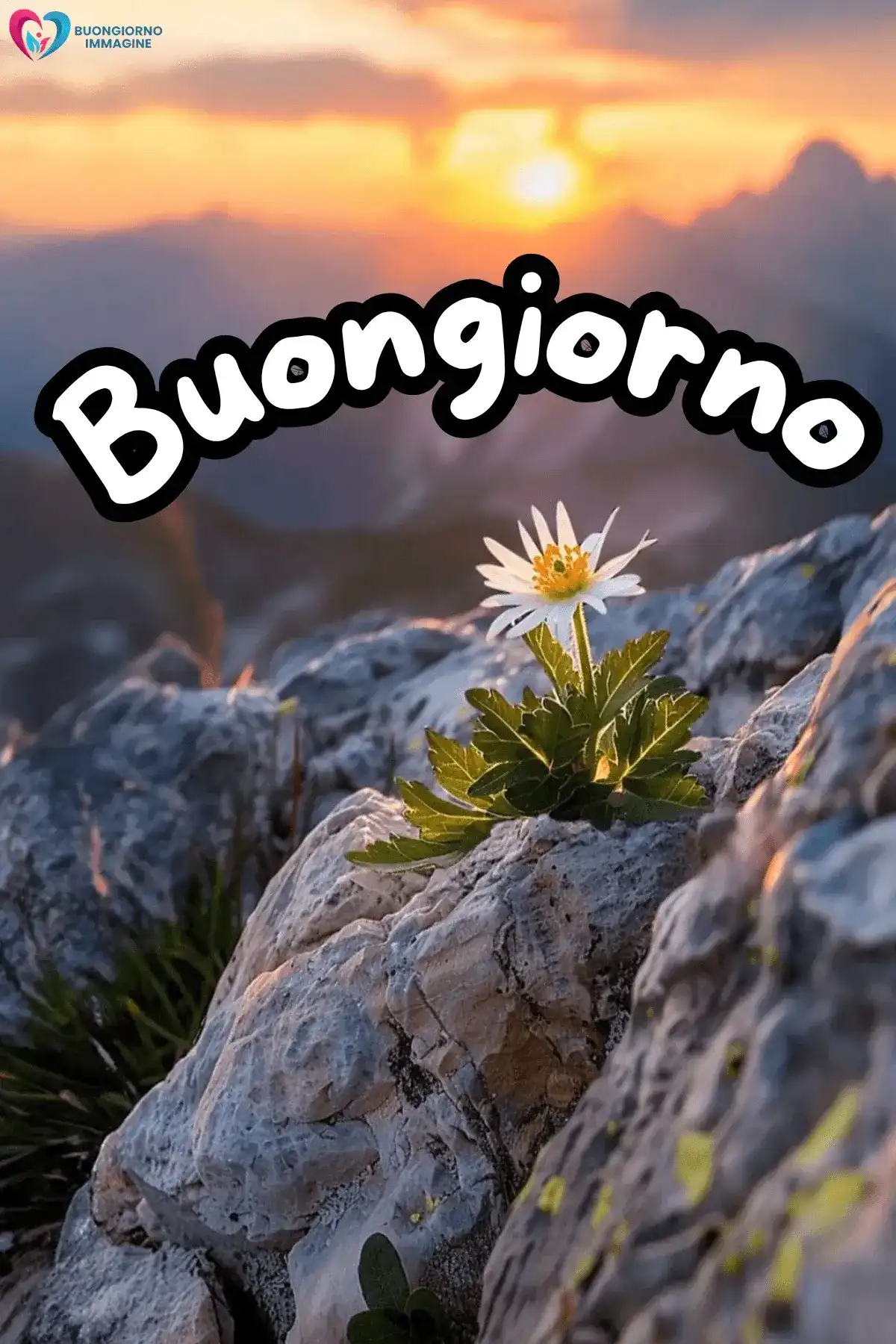 buongiornoimmagine.it — immagini buongiorno pietra bianca gratis per WhatsApp