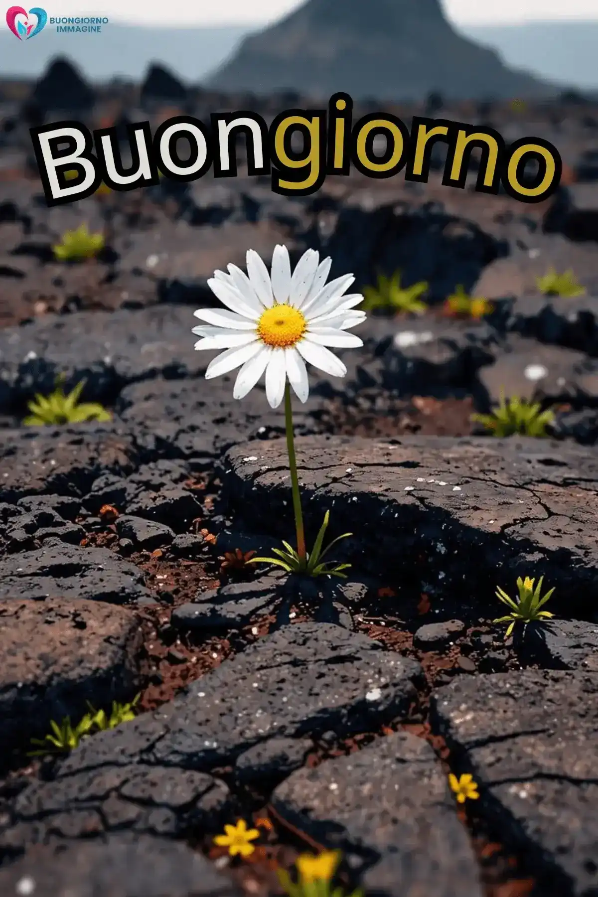 scarica gratis su buongiornoimmagine.it — foto buongiorno pietra bianca