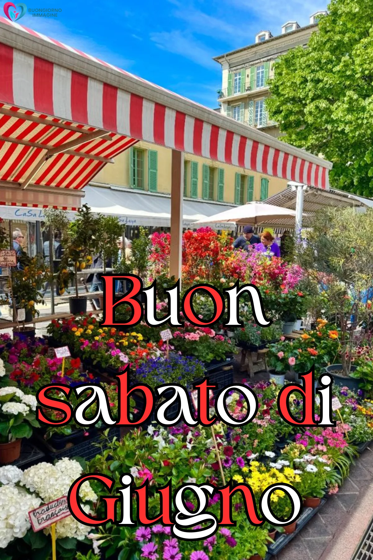 buon sabato di giugno immagini con fiori colorati e sole