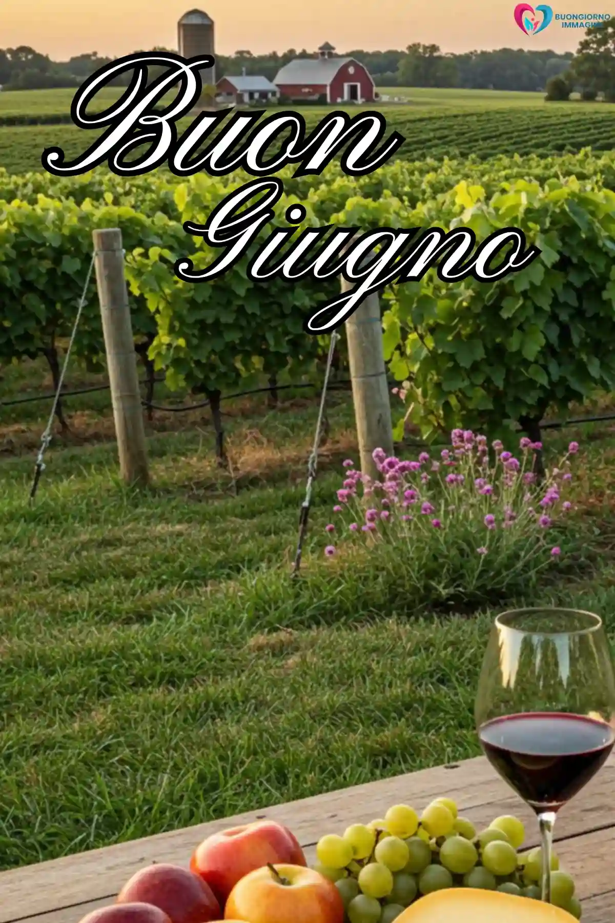 auguri buon primo giugno bouquet di rose fresche (compresso) — buongiornoimmagine.it